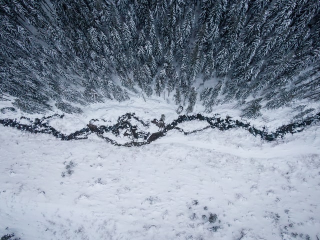 Ostbarrow High School 31 Suite 305 - photo 4